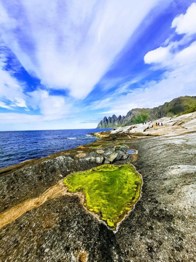 Waterfront Senja Daire Torsken Dış mekan fotoğraf