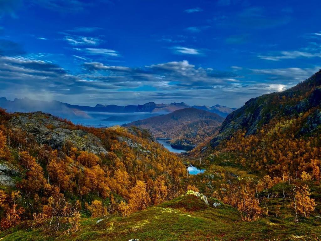 Waterfront Senja Daire Torsken Dış mekan fotoğraf