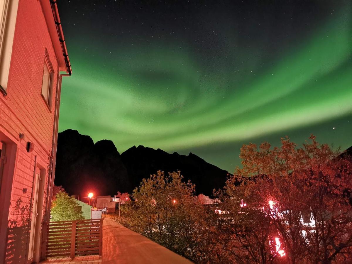 Waterfront Senja Daire Torsken Dış mekan fotoğraf