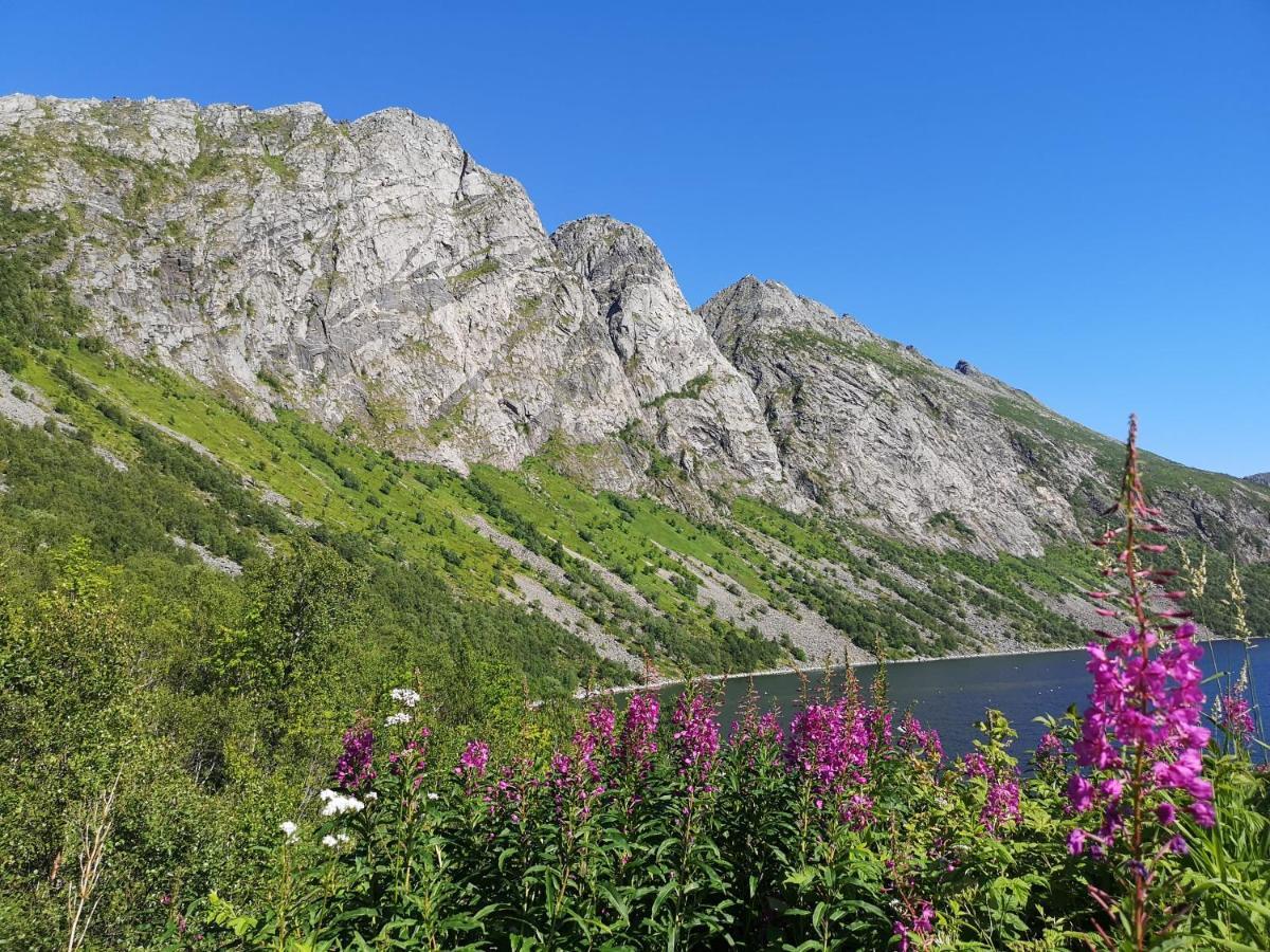 Waterfront Senja Daire Torsken Dış mekan fotoğraf