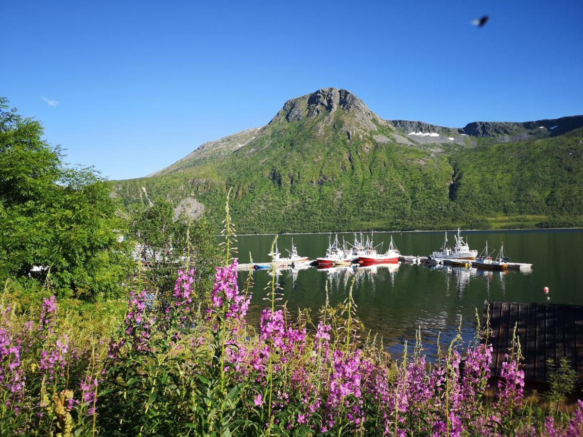 Waterfront Senja Daire Torsken Dış mekan fotoğraf