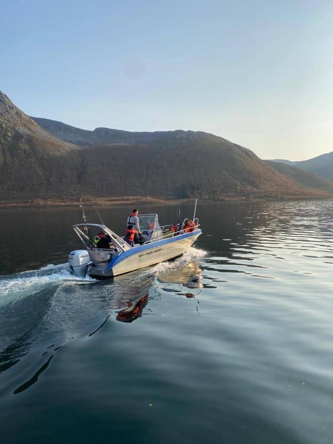 Waterfront Senja Daire Torsken Dış mekan fotoğraf