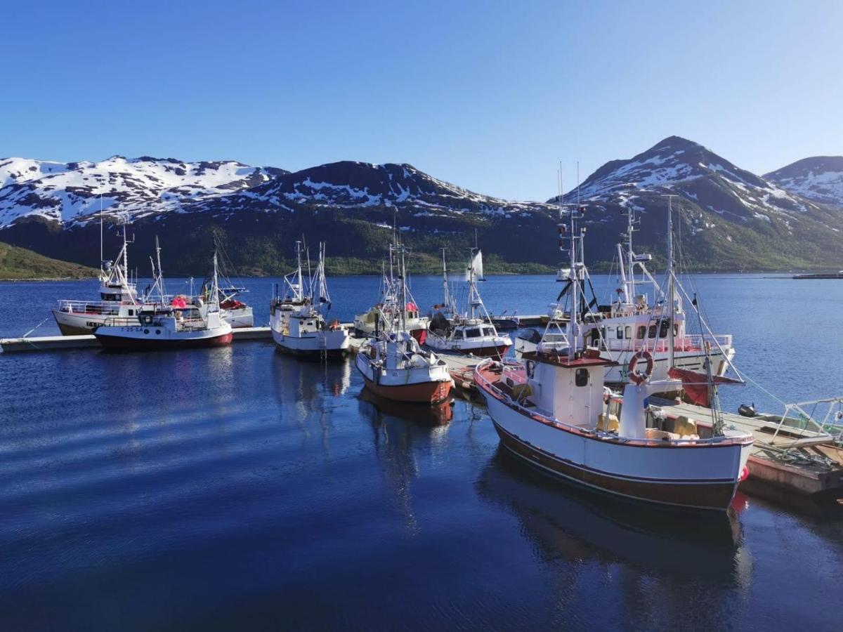 Waterfront Senja Daire Torsken Dış mekan fotoğraf