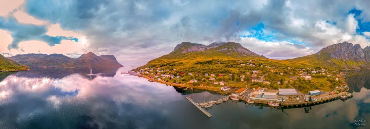 Waterfront Senja Daire Torsken Dış mekan fotoğraf
