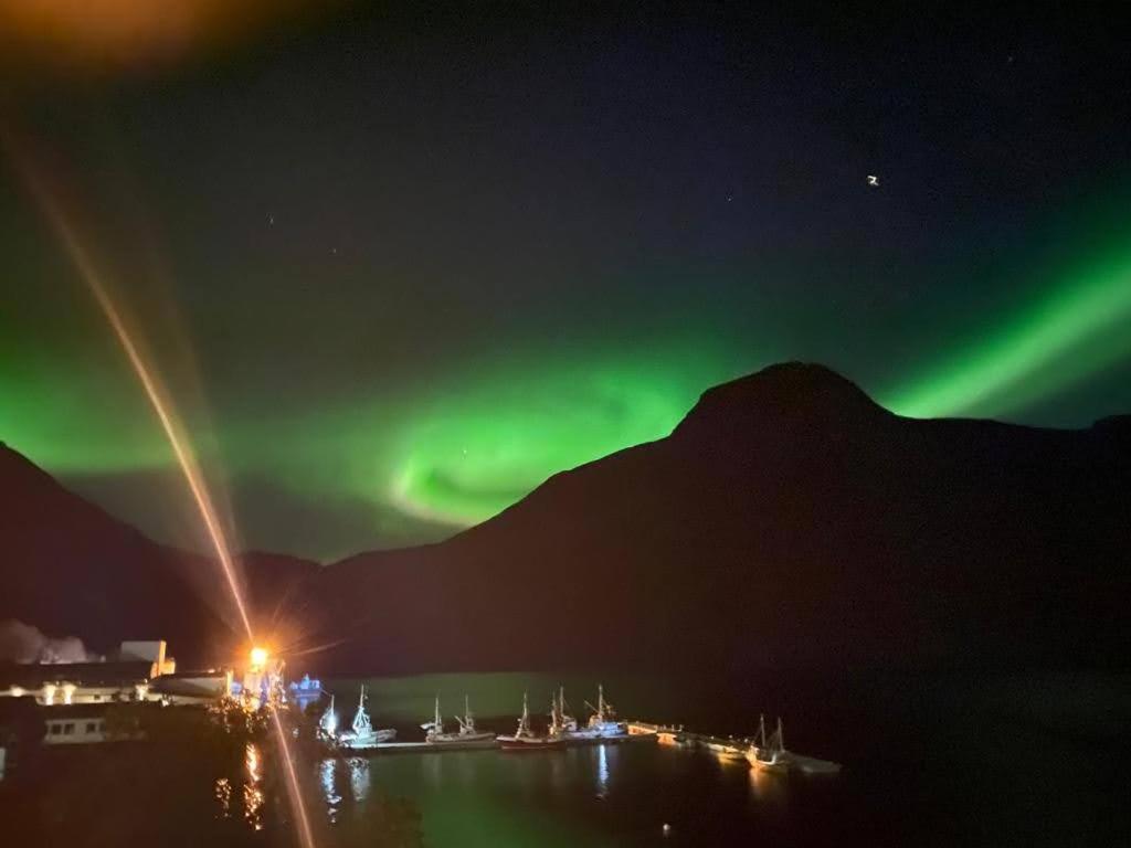 Waterfront Senja Daire Torsken Dış mekan fotoğraf