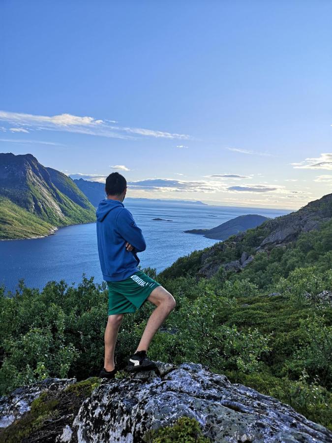 Waterfront Senja Daire Torsken Dış mekan fotoğraf