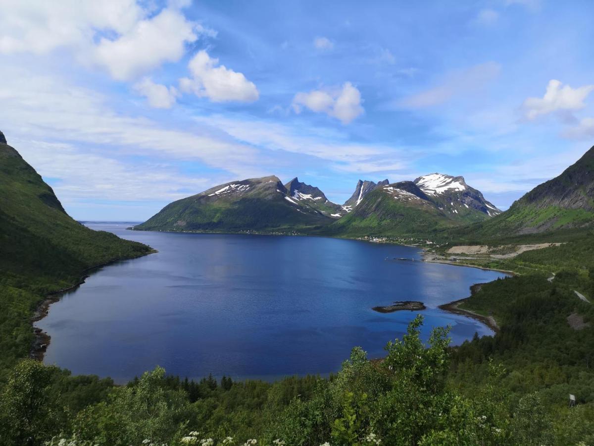 Waterfront Senja Daire Torsken Dış mekan fotoğraf